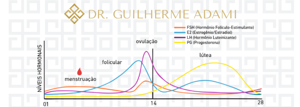 Gráfico do ciclo menstrual mostrando a variação de estrogênio e progesterona, ajudando a entender se o anticoncepcional engorda.